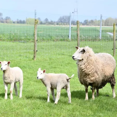 In By The * Nieuwpoort