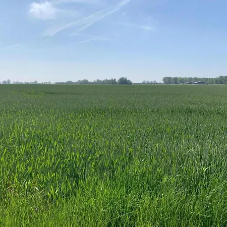 In By The * Nieuwpoort